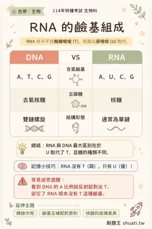 AI 記憶小卡