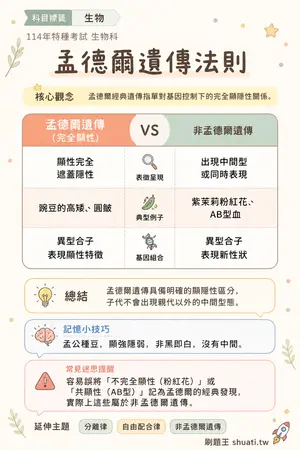 AI 記憶小卡