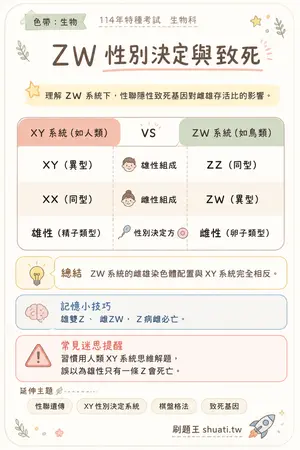 AI 記憶小卡