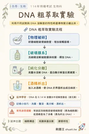 AI 記憶小卡
