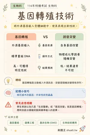AI 記憶小卡