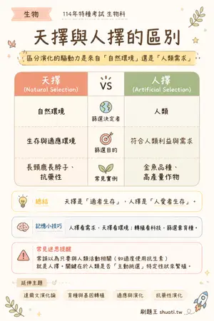 AI 記憶小卡