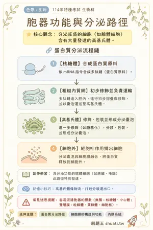 AI 記憶小卡
