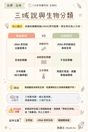 AI 記憶小卡