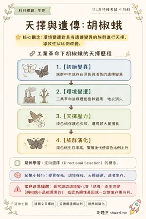 AI 記憶小卡