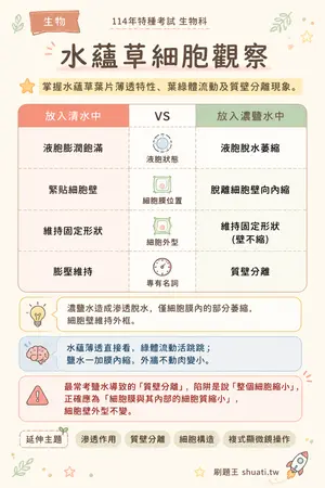 AI 記憶小卡