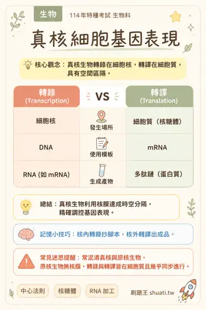 AI 記憶小卡