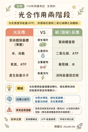 AI 記憶小卡