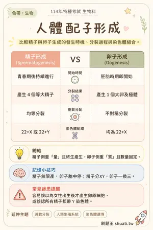 AI 記憶小卡