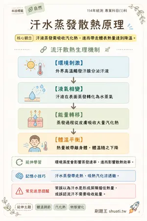 AI 記憶小卡