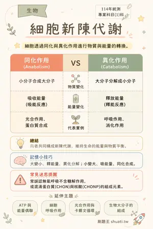 AI 記憶小卡