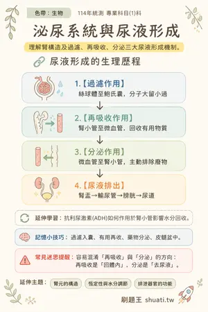 AI 記憶小卡