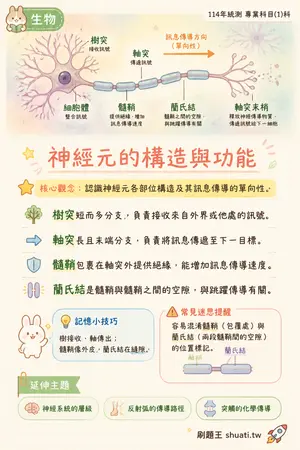 AI 記憶小卡