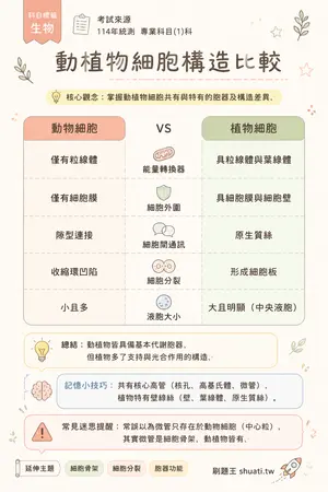AI 記憶小卡