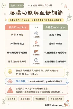 AI 記憶小卡