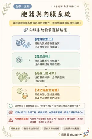 AI 記憶小卡