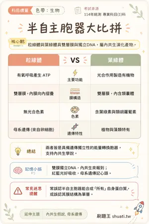 AI 記憶小卡