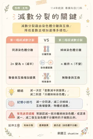 AI 記憶小卡