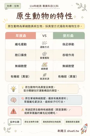 AI 記憶小卡