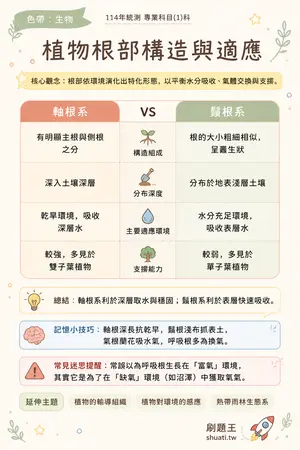AI 記憶小卡