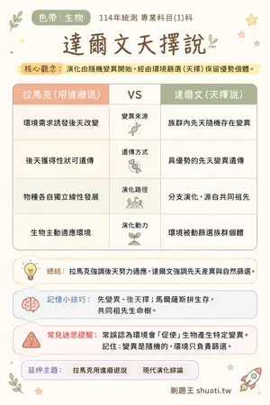 AI 記憶小卡