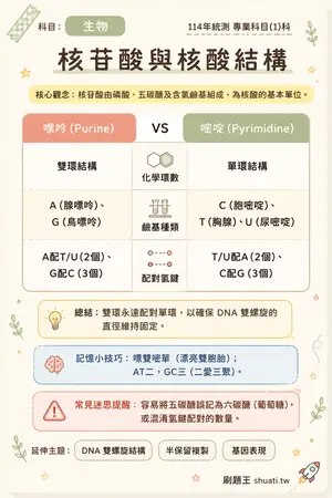 AI 記憶小卡
