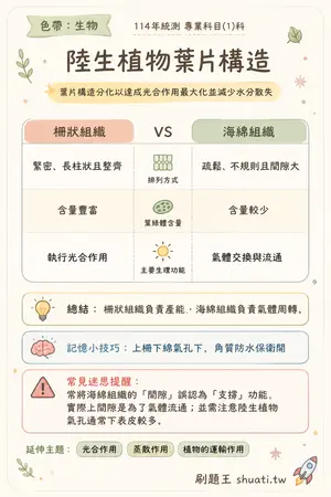 AI 記憶小卡