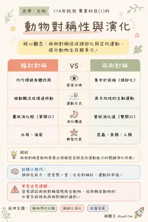AI 記憶小卡