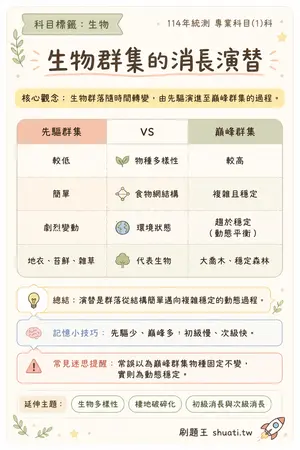 AI 記憶小卡