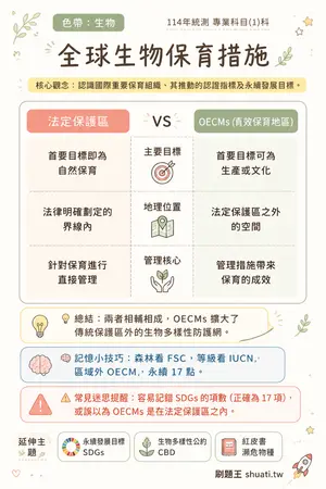 AI 記憶小卡