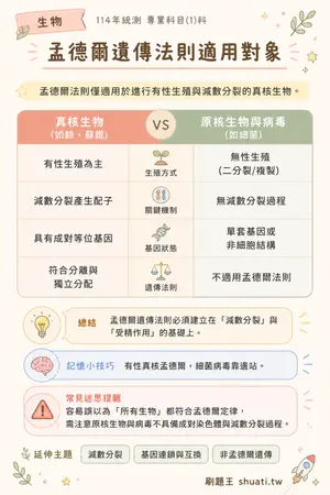 AI 記憶小卡