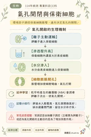 AI 記憶小卡