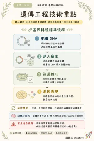 AI 記憶小卡