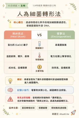 AI 記憶小卡