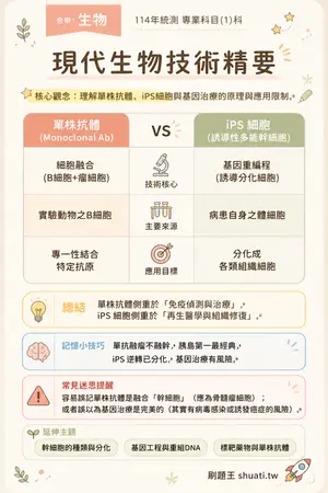 AI 記憶小卡