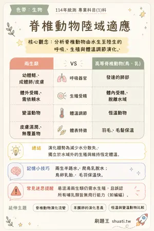 AI 記憶小卡