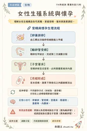 AI 記憶小卡