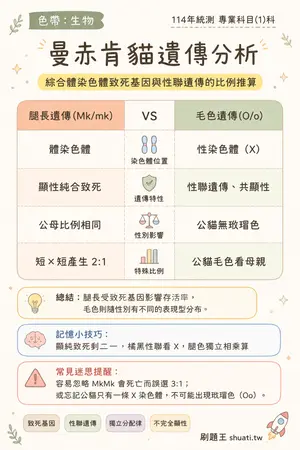 AI 記憶小卡