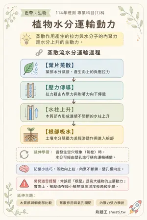 AI 記憶小卡