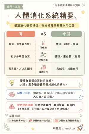 AI 記憶小卡