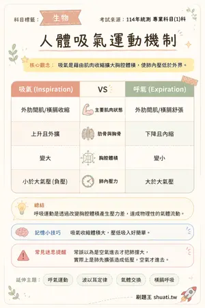AI 記憶小卡