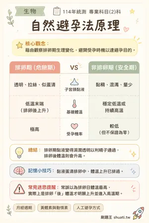 AI 記憶小卡