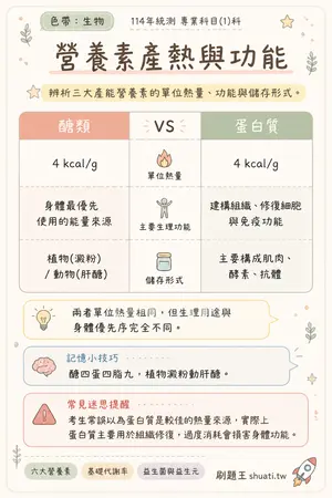 AI 記憶小卡
