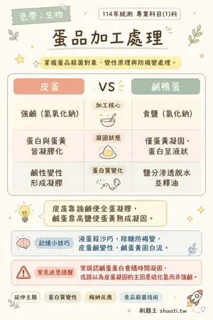 AI 記憶小卡