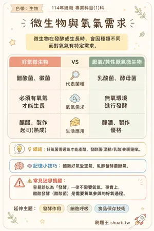 AI 記憶小卡