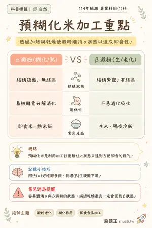 AI 記憶小卡