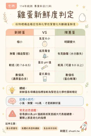 AI 記憶小卡