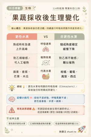 AI 記憶小卡