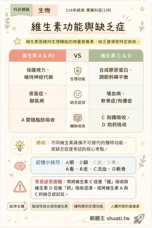 AI 記憶小卡