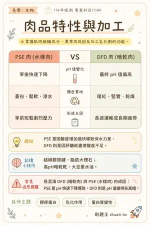 AI 記憶小卡